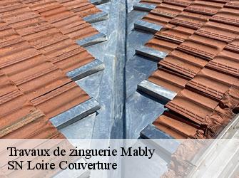 Travaux de zinguerie 42300