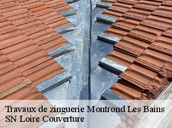 Travaux de zinguerie 42210