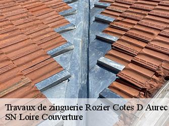 Travaux de zinguerie  42380