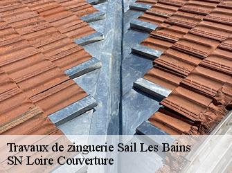 Travaux de zinguerie  42310