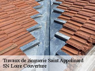 Travaux de zinguerie 42520