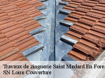 Travaux de zinguerie 42330