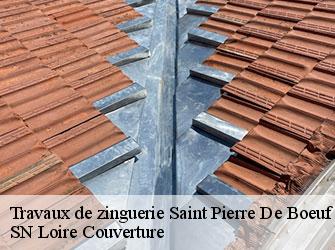 Travaux de zinguerie 42520