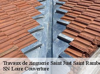 Travaux de zinguerie  42170