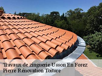 Couvreur 42 Loire  Pierre Rénovation Toiture 