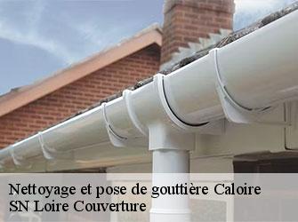 Nettoyage et pose de gouttière caloire-42240 SN Loire Couverture