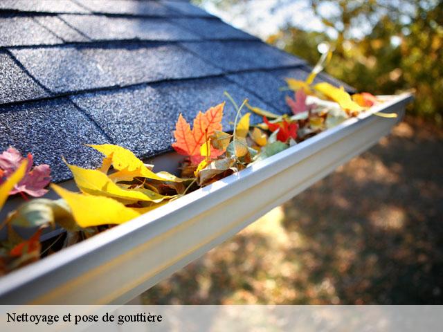 Nettoyage et pose de gouttière