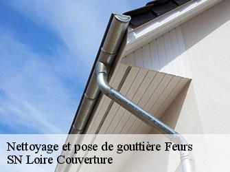 Nettoyage et pose de gouttière 42110