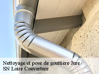 Nettoyage et pose de gouttière