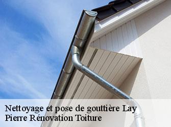 Couvreur Loire 