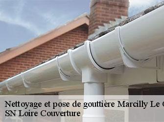 Nettoyage et pose de gouttière marcilly-le-chatel-42130 SN Loire Couverture