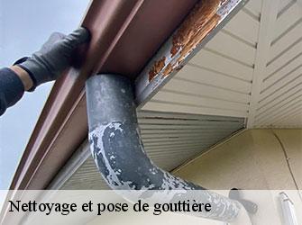 Nettoyage et pose de gouttière