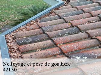 Nettoyage et pose de gouttière