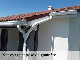 Nettoyage et pose de gouttière