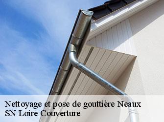 Nettoyage et pose de gouttière  42470