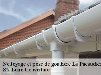 Nettoyage et pose de gouttière la-pacaudiere-42310 SN Loire Couverture