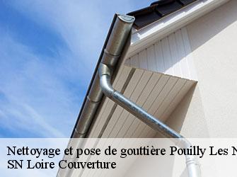 Nettoyage et pose de gouttière  42155