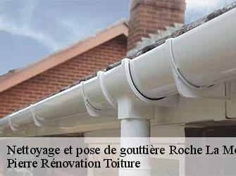 Couvreur 42 Loire  Pierre Rénovation Toiture 