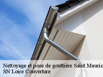 Nettoyage et pose de gouttière  42240