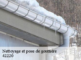 Nettoyage et pose de gouttière 42220
