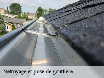 Nettoyage et pose de gouttière 42220