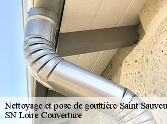 Nettoyage et pose de gouttière