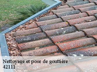 Nettoyage et pose de gouttière