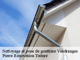 Couvreur Loire 