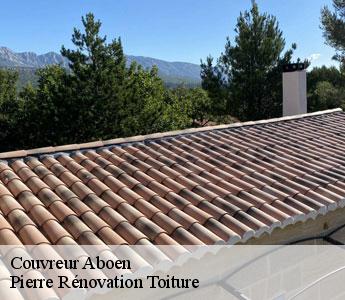 Couvreur 42 Loire  Pierre Rénovation Toiture 