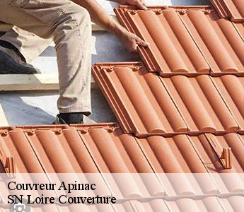 Couvreur  42550