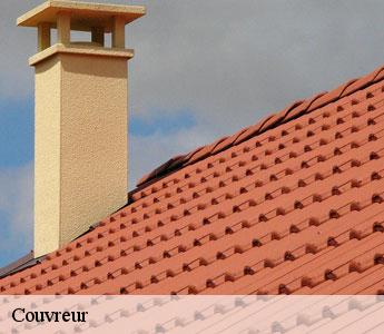 Couvreur Loire 