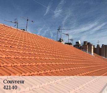Couvreur Loire 
