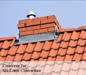 Couvreur  jas-42110 SN Loire Couverture 