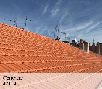 Couvreur Loire 