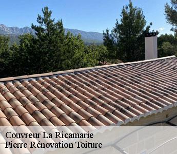 Couvreur 42 Loire  Pierre Rénovation Toiture 