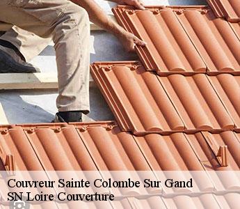 Couvreur  42540
