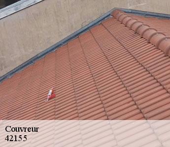 Couvreur Loire