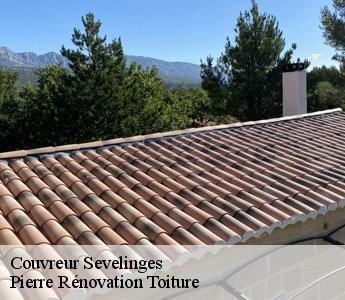 Couvreur 42 Loire  Pierre Rénovation Toiture 