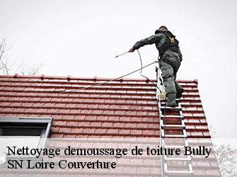 Nettoyage demoussage de toiture  bully-42260 SN Loire Couverture 