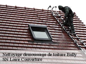 Nettoyage demoussage de toiture  42260