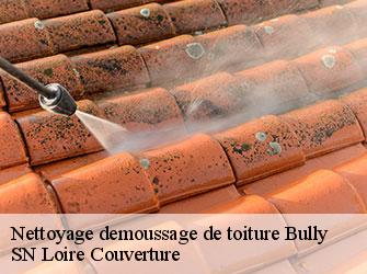 Nettoyage demoussage de toiture