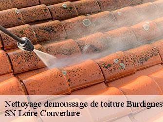 Nettoyage demoussage de toiture
