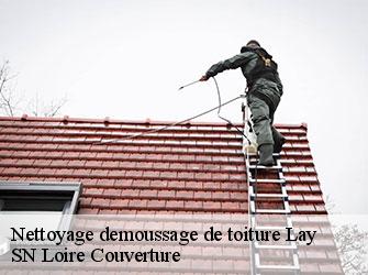 Nettoyage demoussage de toiture  lay-42470 SN Loire Couverture 