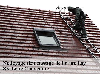 Nettoyage demoussage de toiture  42470