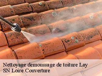 Nettoyage demoussage de toiture
