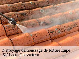 Nettoyage demoussage de toiture