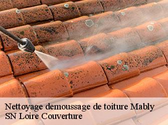 Nettoyage demoussage de toiture