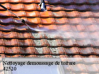 Nettoyage demoussage de toiture  42520