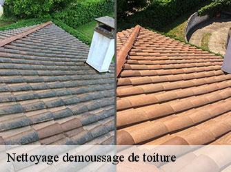 Nettoyage demoussage de toiture