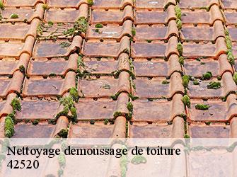 Nettoyage demoussage de toiture
